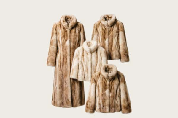 东昌府区回收皮草衣服